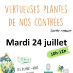 Vertueuses plantes de nos contrées