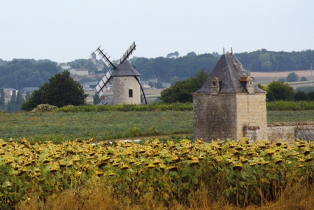 Les moulins ont la parole